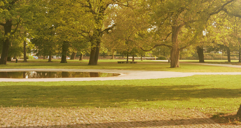 Stadtplanung und Quartiers&shy;entwicklung